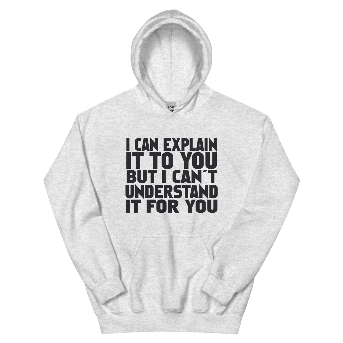 I Can Explain It to You but I Can't Understand It for You Unisex Hoodie