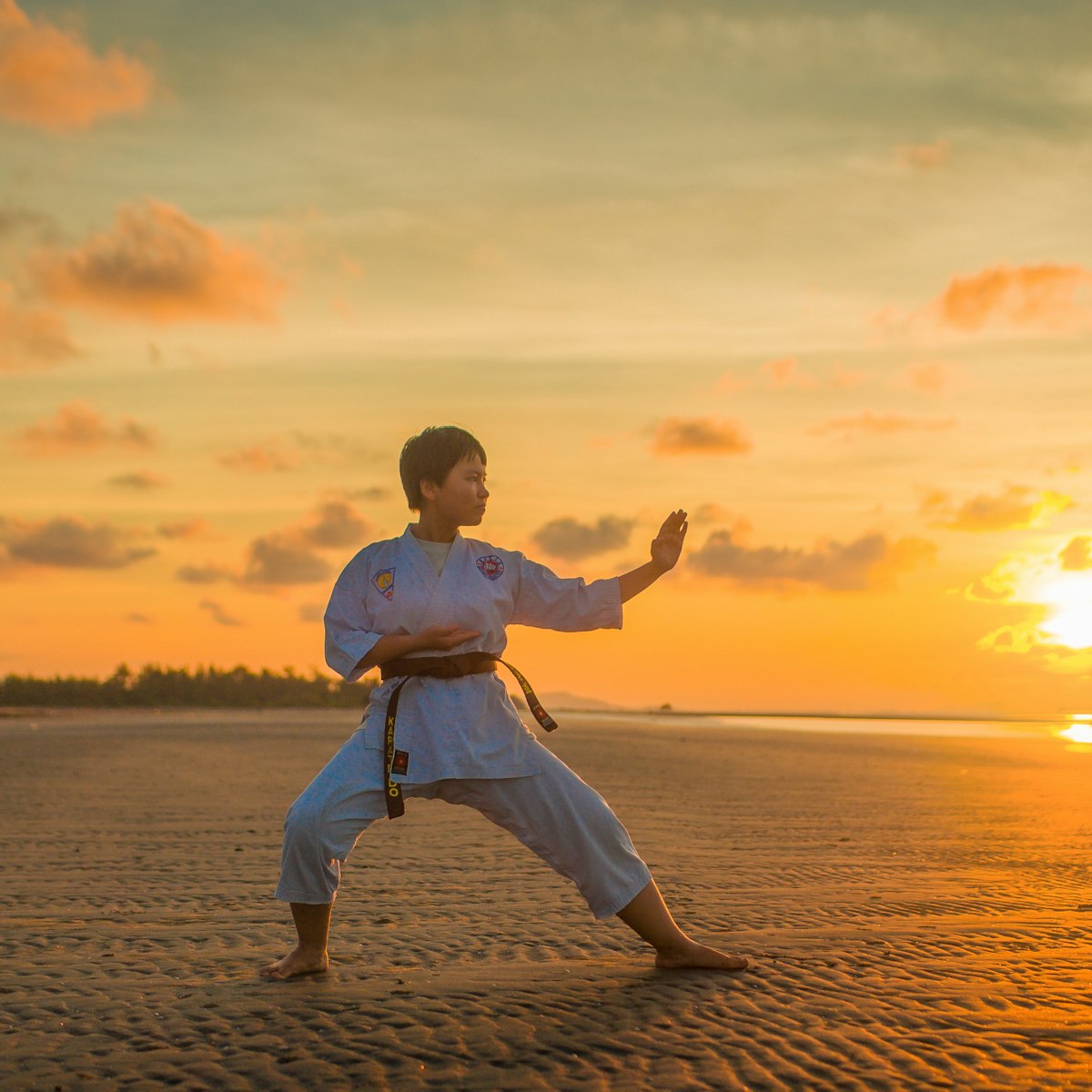 Martial Arts collection square