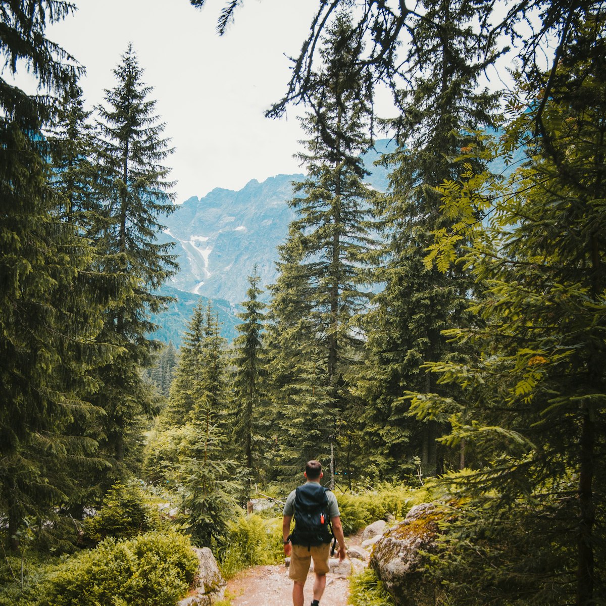 HIKING collection square
