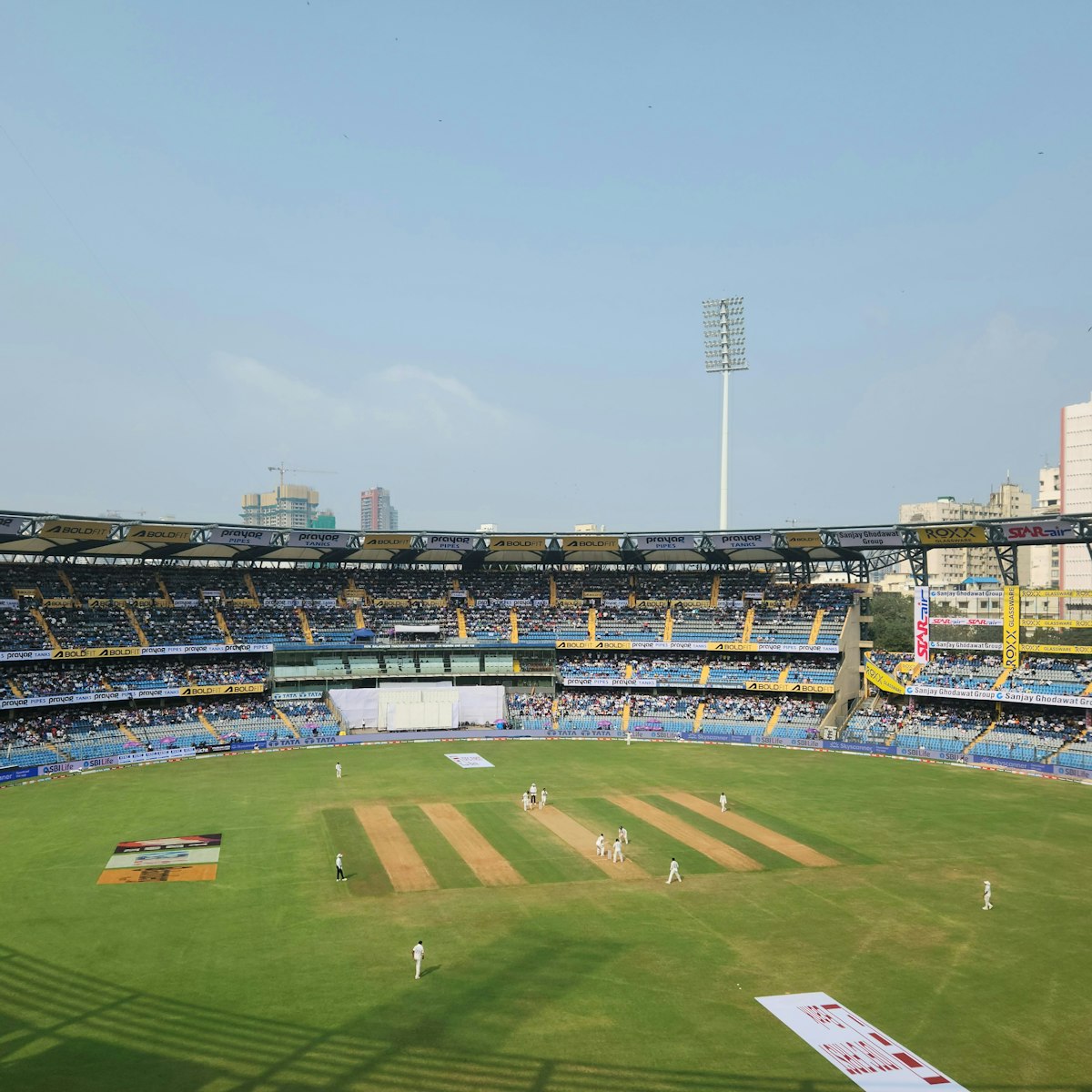 Cricket collection square