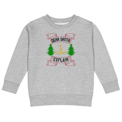 Dear Santa I Can Explain Christmas Toddler Sweatshirt