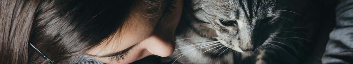 Woman and tabby cat sharing a quiet moment - wide banner