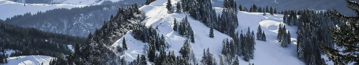 Skiing collection banner