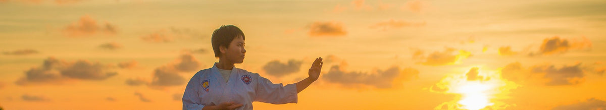 Martial Arts collection banner