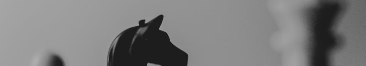 Chess collection banner