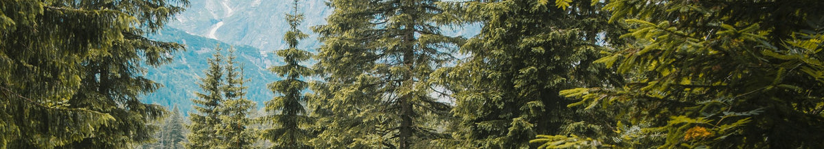 HIKING collection banner