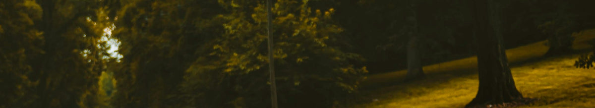 Vehicle's collection banner
