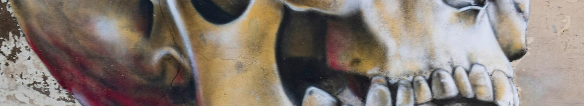 Skull collection banner
