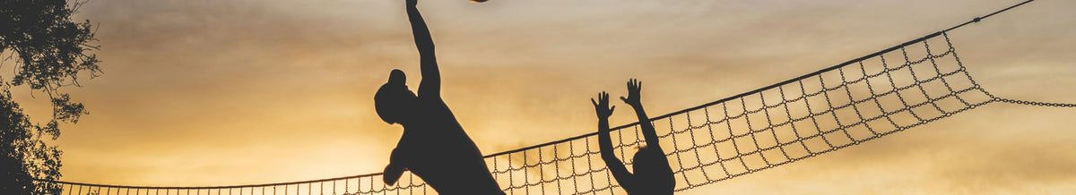 Volleyball collection banner