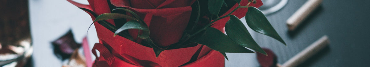 Valentine's Day collection banner