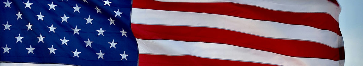 Independence Day collection banner