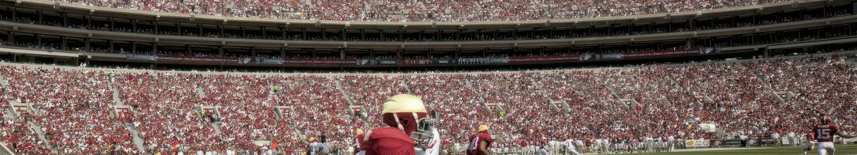 NFL Team collection banner