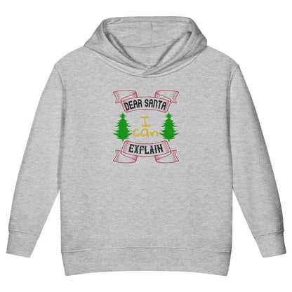 Dear Santa I Can Explain Christmas Toddler Hoodie