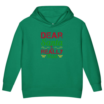 Dear Santa, I Really Tried Christmas Toddler Hoodie