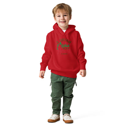 A Dream Is a Wish Your Heart Makes Christmas Toddler Hoodie