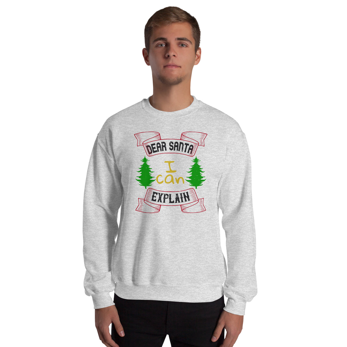 Dear Santa I Can Explain Christmas Unisex Sweatshirt
