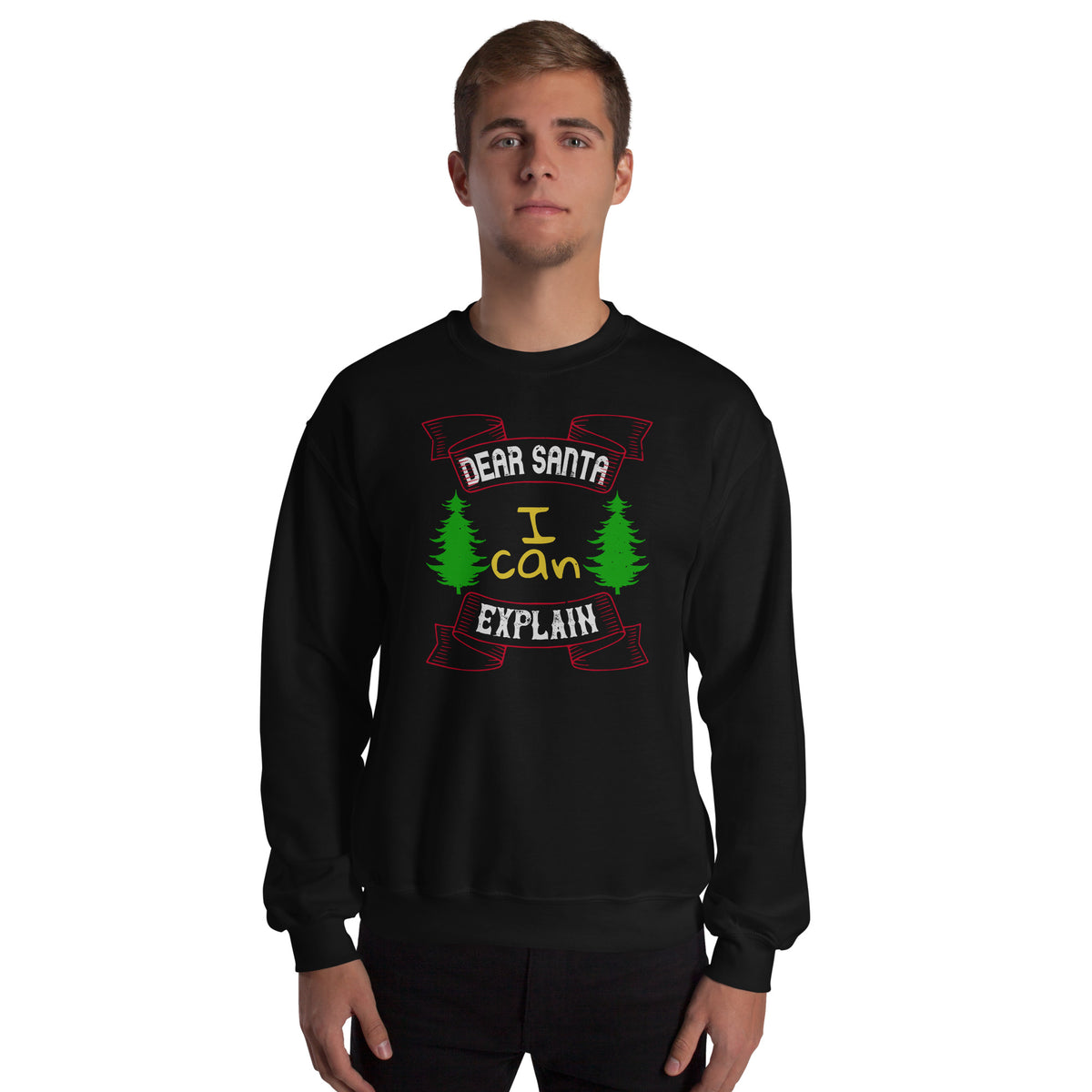 Dear Santa I Can Explain Christmas Unisex Sweatshirt
