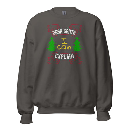 Dear Santa I Can Explain Christmas Unisex Sweatshirt