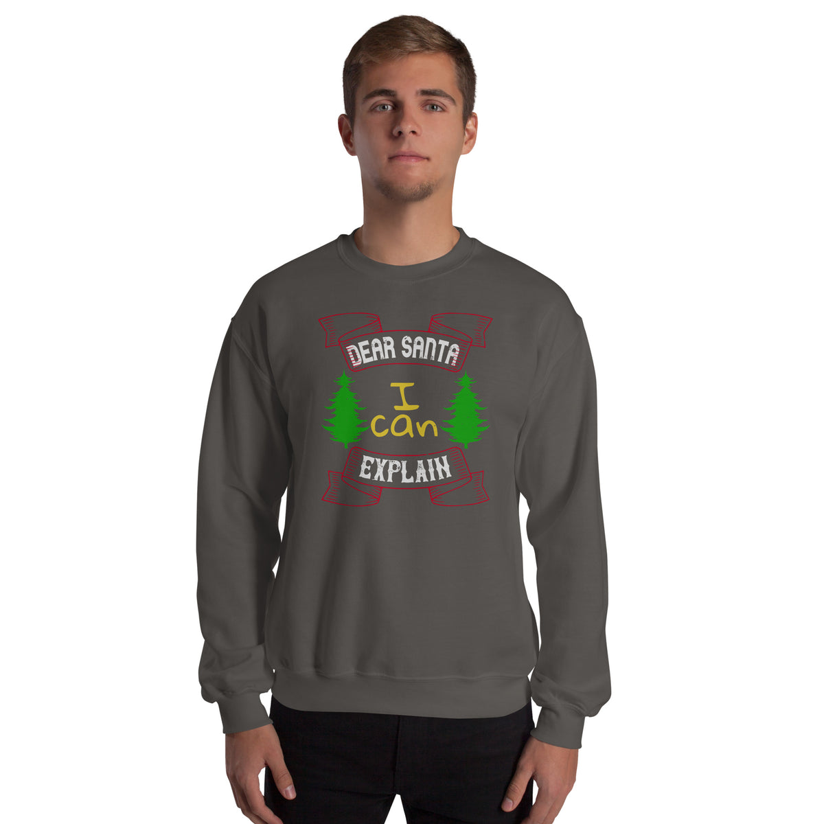 Dear Santa I Can Explain Christmas Unisex Sweatshirt