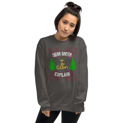 Dear Santa I Can Explain Christmas Unisex Sweatshirt