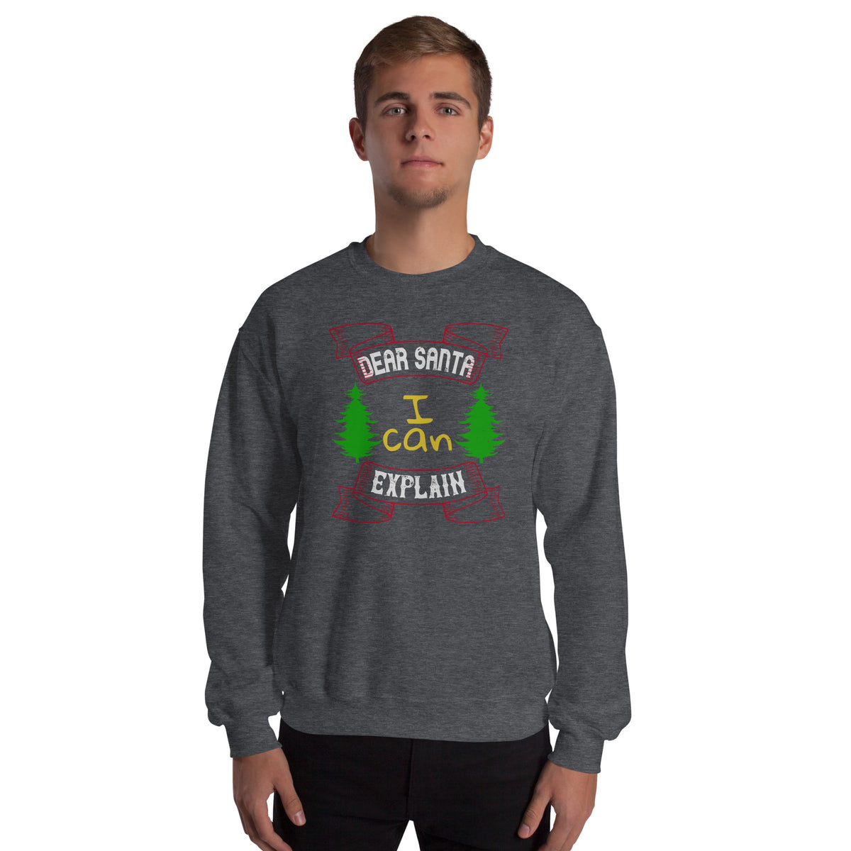 Dear Santa I Can Explain Christmas Unisex Sweatshirt