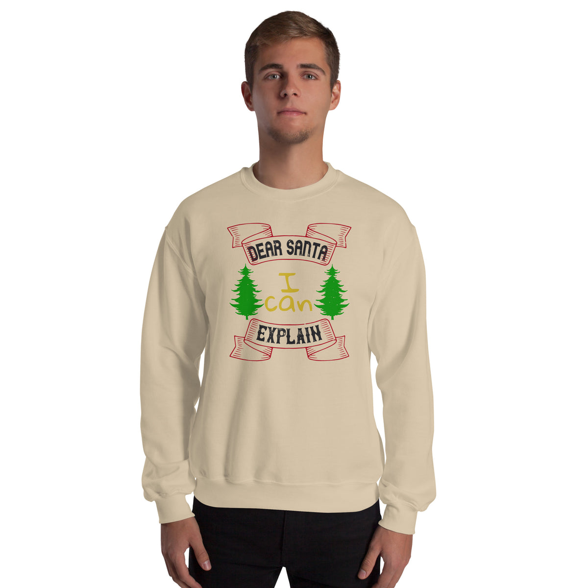 Dear Santa I Can Explain Christmas Unisex Sweatshirt