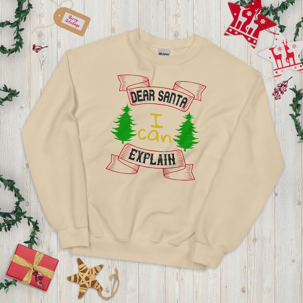 Dear Santa I Can Explain Christmas Unisex Sweatshirt