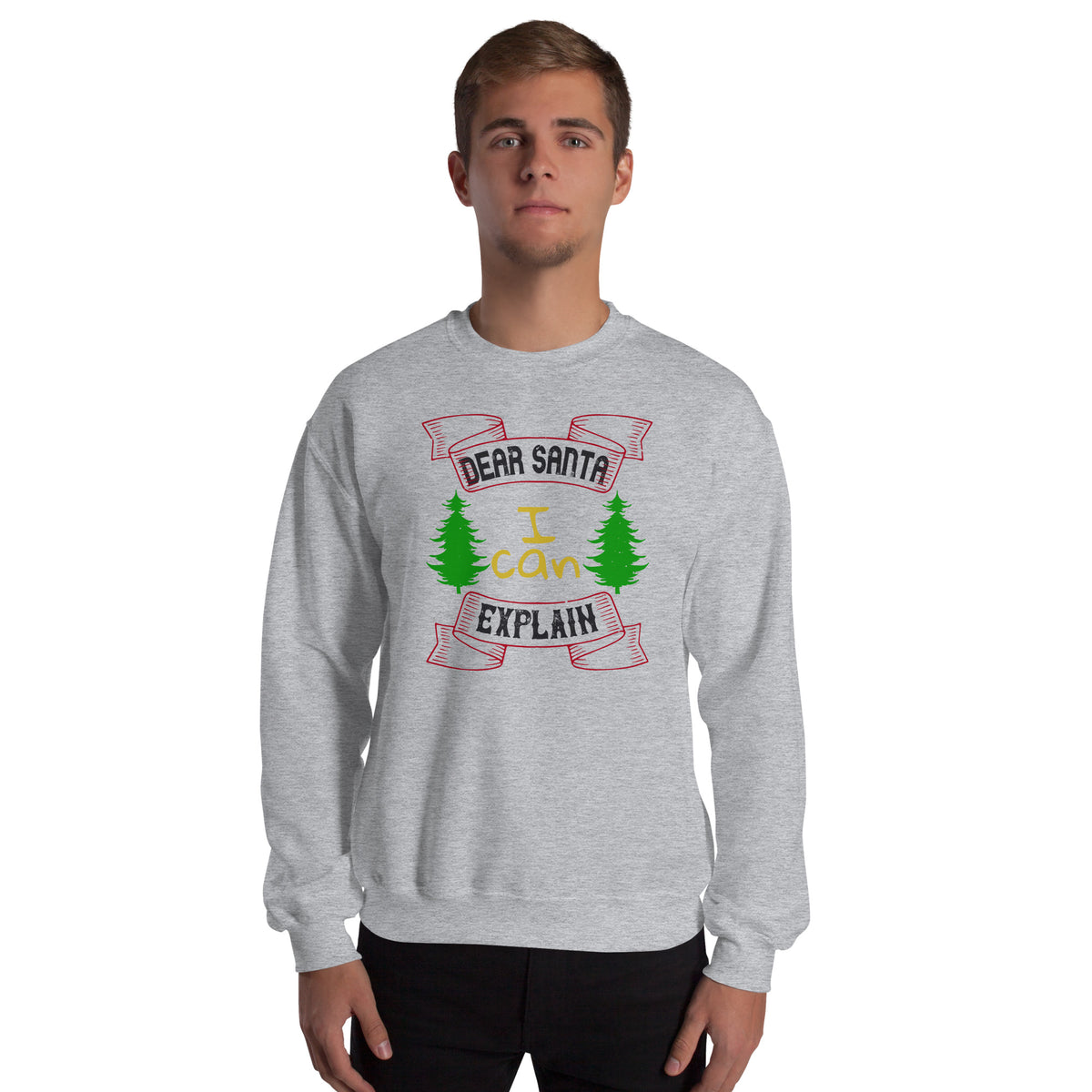 Dear Santa I Can Explain Christmas Unisex Sweatshirt