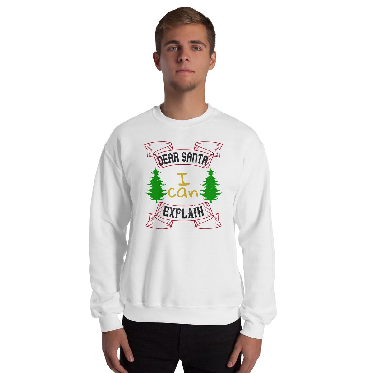 Dear Santa I Can Explain Christmas Unisex Sweatshirt