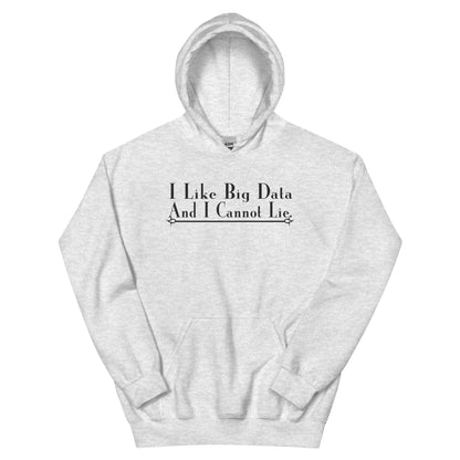 I Like Big Data and I Cannot Lie Unisex Hoodie