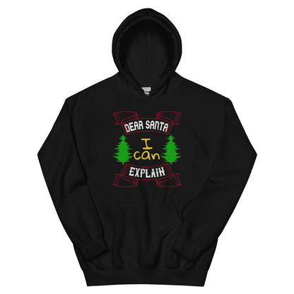Dear Santa I Can Explain Christmas Unisex Hoodie