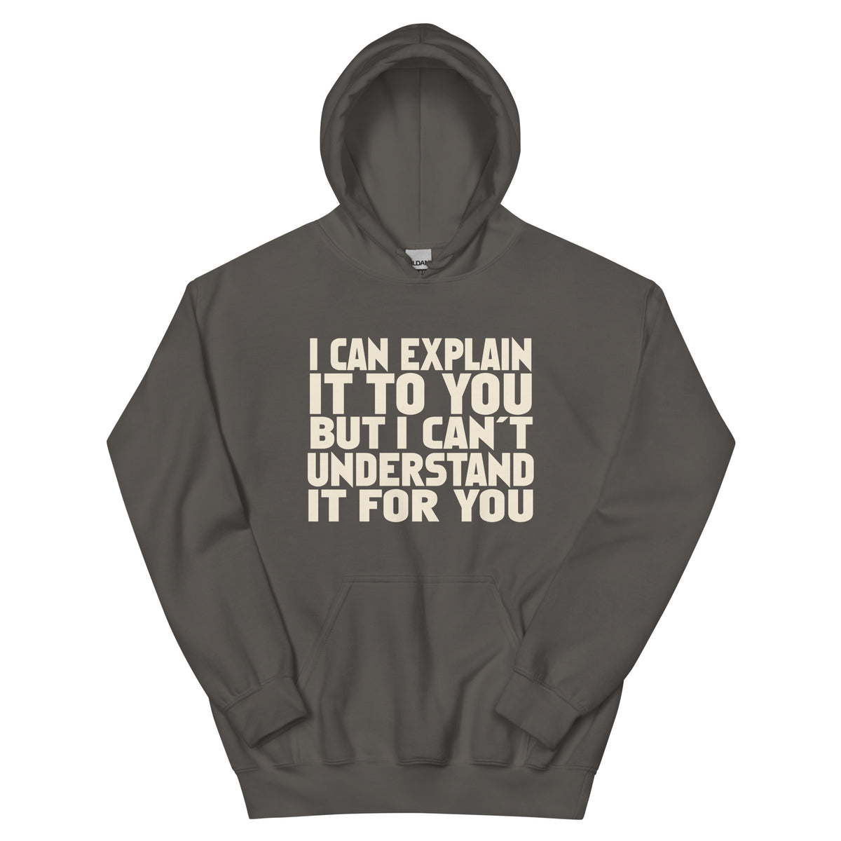I Can Explain It to You but I Can't Understand It for You Unisex Hoodie