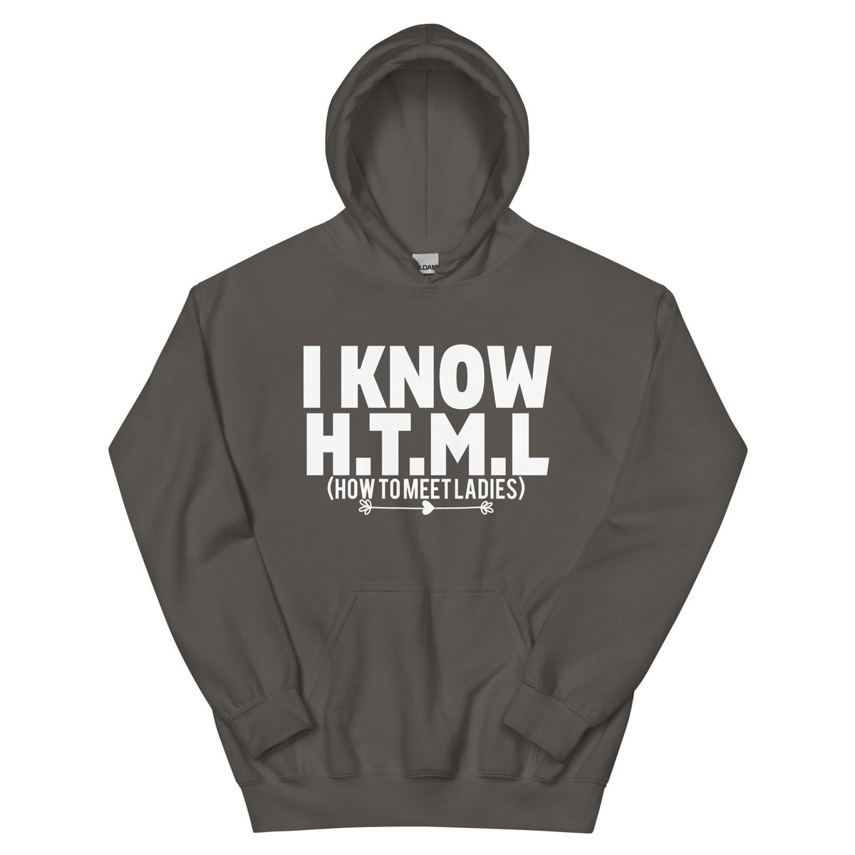 I Know H.T.M.L. How to Meet Ladies Unisex Hoodie