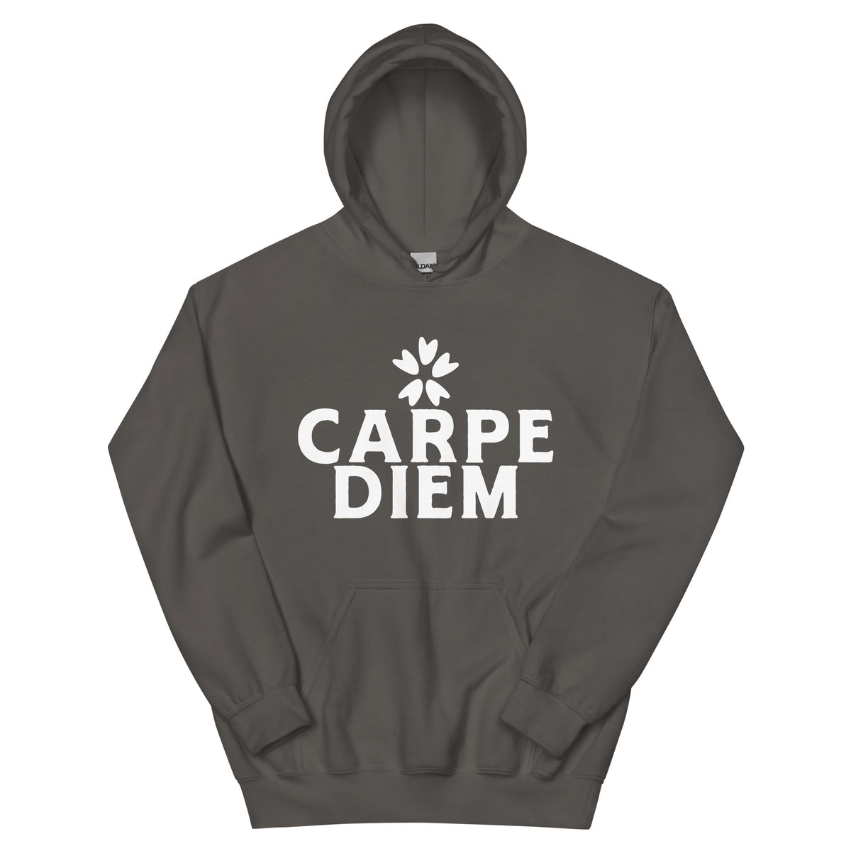 Carpe Diem Unisex Hoodie