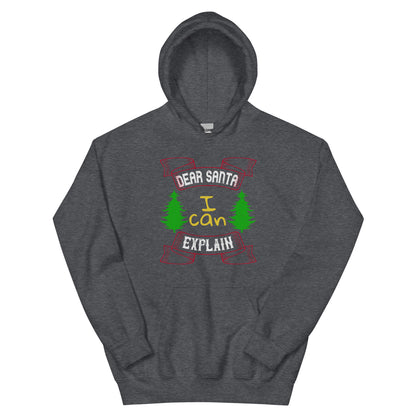 Dear Santa I Can Explain Christmas Unisex Hoodie