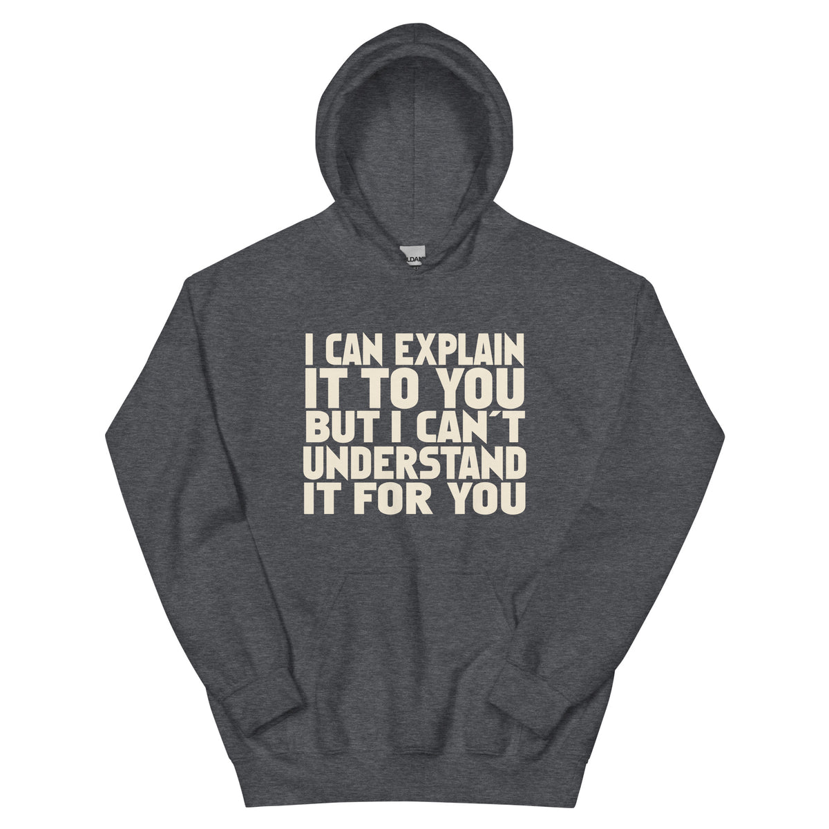 I Can Explain It to You but I Can't Understand It for You Unisex Hoodie