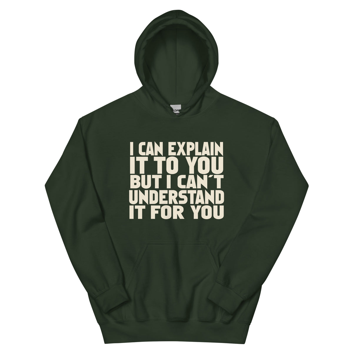 I Can Explain It to You but I Can't Understand It for You Unisex Hoodie