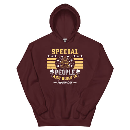 Special People Are Born in November Unisex Hoodie