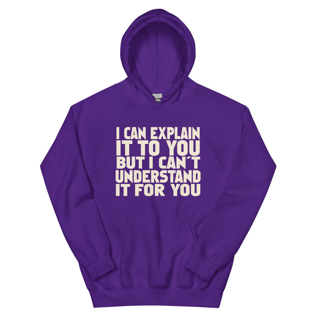 I Can Explain It to You but I Can't Understand It for You Unisex Hoodie