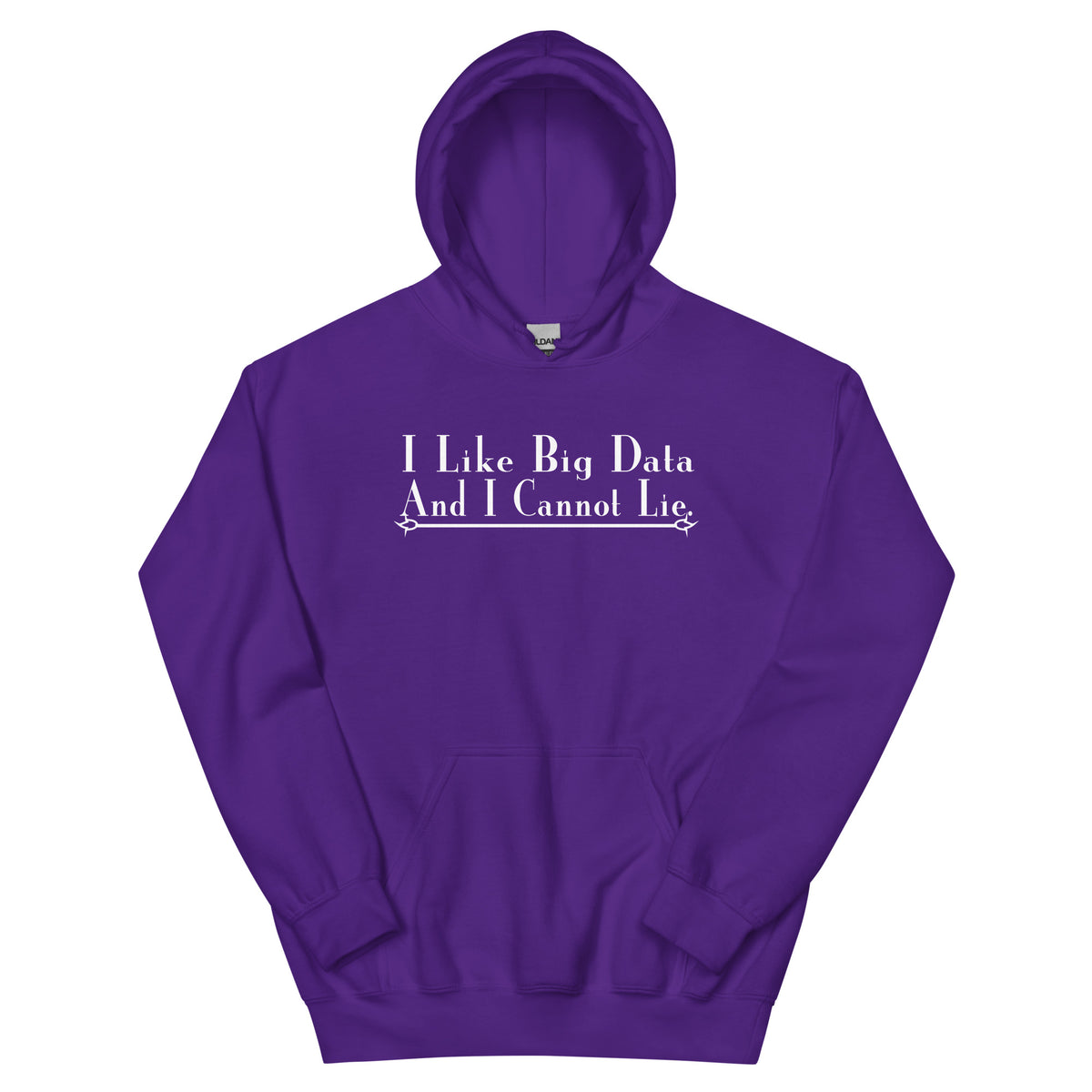 I Like Big Data and I Cannot Lie Unisex Hoodie