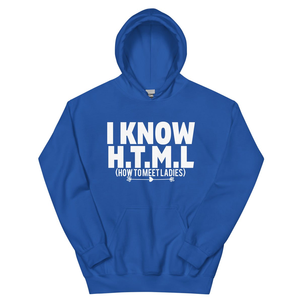 I Know H.T.M.L. How to Meet Ladies Unisex Hoodie
