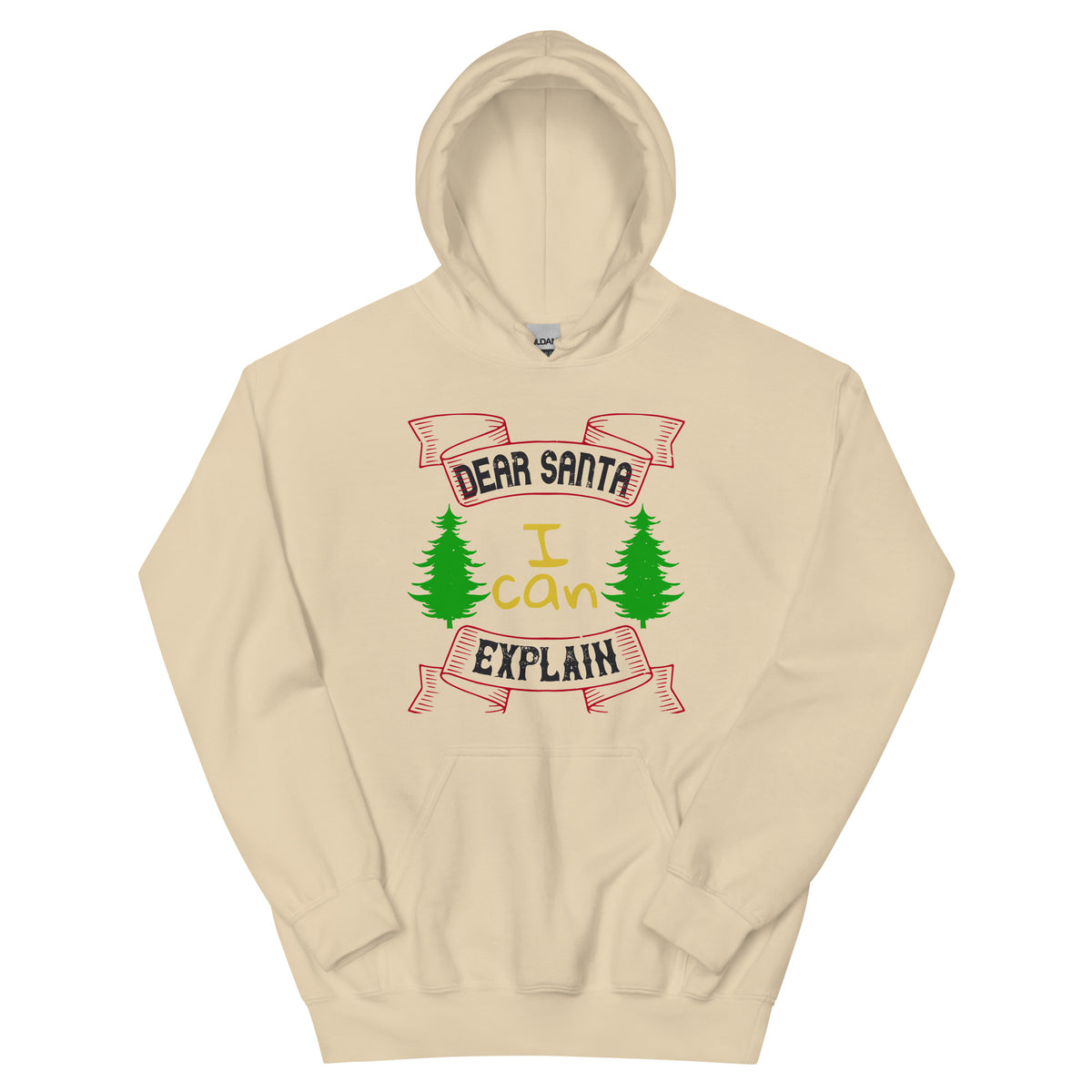Dear Santa I Can Explain Christmas Unisex Hoodie