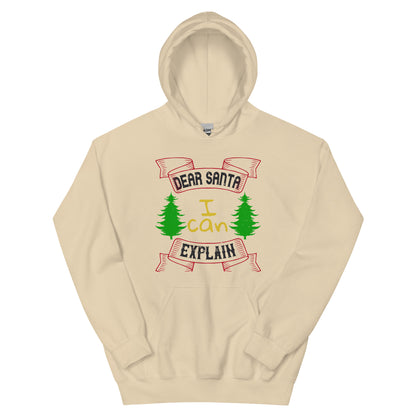 Dear Santa I Can Explain Christmas Unisex Hoodie
