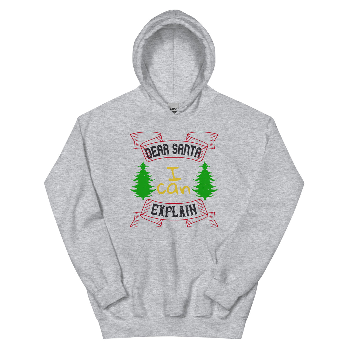 Dear Santa I Can Explain Christmas Unisex Hoodie