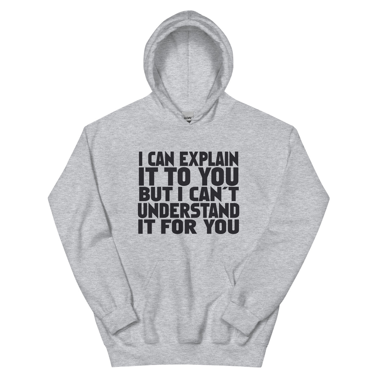 I Can Explain It to You but I Can't Understand It for You Unisex Hoodie