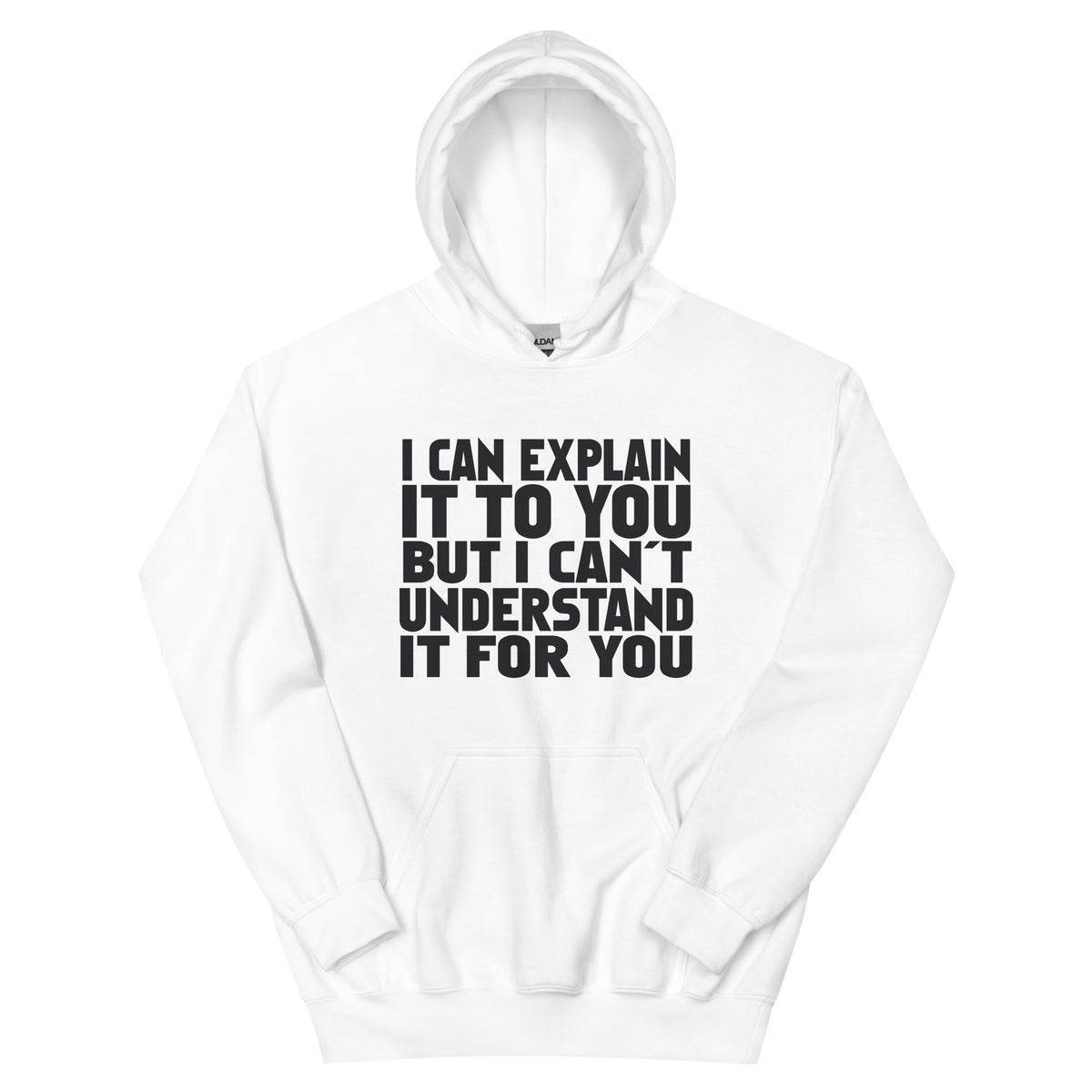 I Can Explain It to You but I Can't Understand It for You Unisex Hoodie