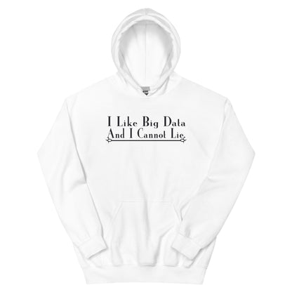I Like Big Data and I Cannot Lie Unisex Hoodie