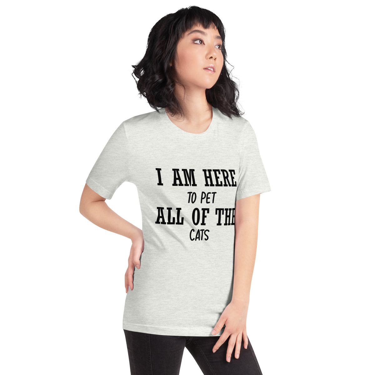 I Am Here to Pet All of the Cats Unisex T-Shirt