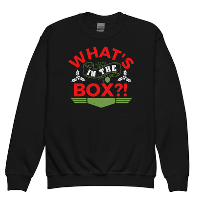 What's in the Box Christmas Kids Sweatshirt
