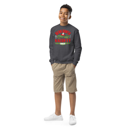 Dear Santa, They Are the Naughty Ones Christmas Kids Sweatshirt